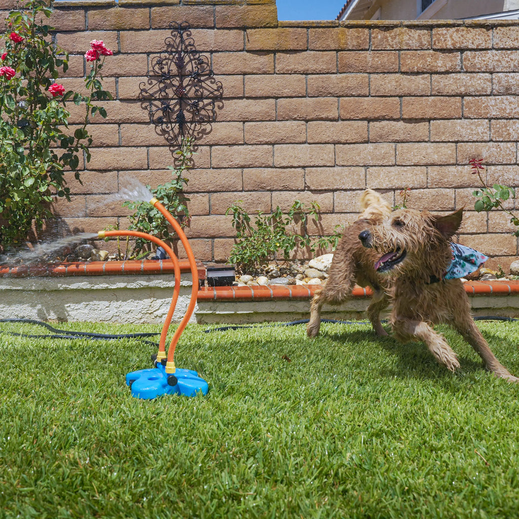 Wild Dogs Water Toys the Wave - Veterinarian Designed Interactive Dog Toy for Endless Fun and Mental Stimulation